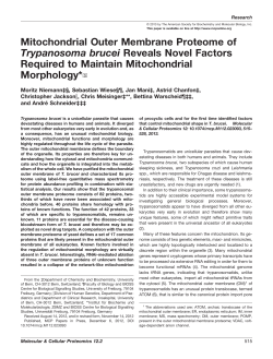 Mitochondrial Outer Membrane Proteome of Trypanosoma brucei
