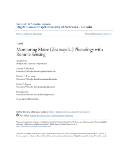 Monitoring Maize (Zea mays L.) Phenology with Remote Sensing