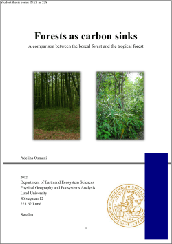 Forests as carbon sinks - Lund University Publications