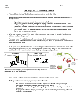 Quiz Prep: Chp 13 &ndash; Frontiers of Genetics