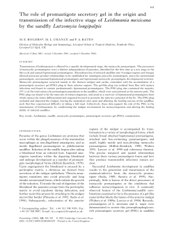 The role of promastigote secretory gel in the origin and transmission