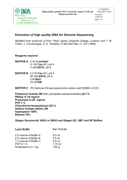 Extraction of high quality DNA for Genome Sequencing