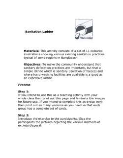 Sanitation Ladder Materials: This activity consists of a set of 11