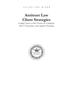 Antitrust Law Client Strategies
