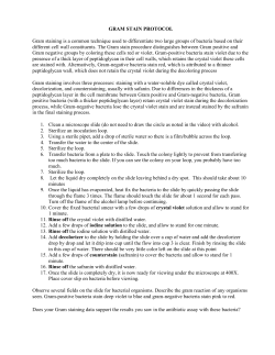 gram stain protocol