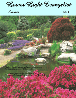 Lower Light Evangelist Lower Light Evangelist