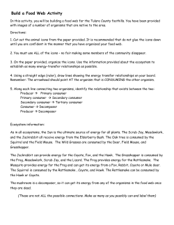 Build a Food Web Activity - AppliedBiology