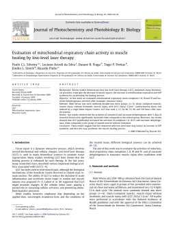 Evaluation of mitochondrial respiratory chain activity in muscle