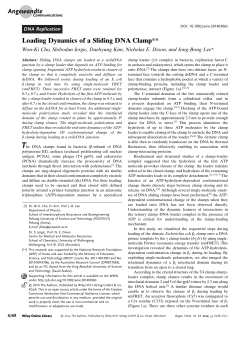 Loading Dynamics of a Sliding DNA Clamp