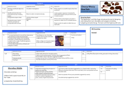 Topic Plan - Rodmersham Primary School