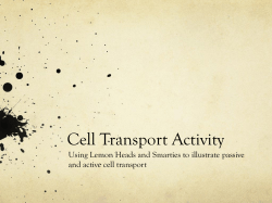 Cell Transport Activity