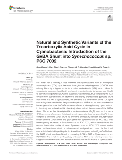 Natural and Synthetic Variants of the Tricarboxylic Acid Cycle in