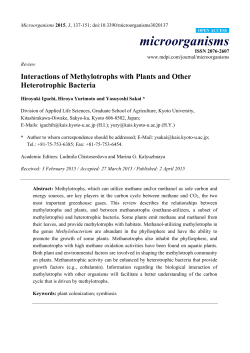 Interactions of Methylotrophs with Plants and Other