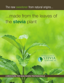 made from the leaves of the stevia plant