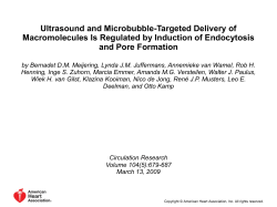 Figure 5. UMTD of 500-kDa dextran in vivo.