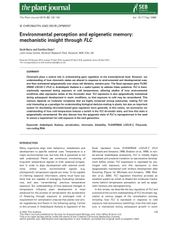 Environmental perception and epigenetic memory: mechanistic