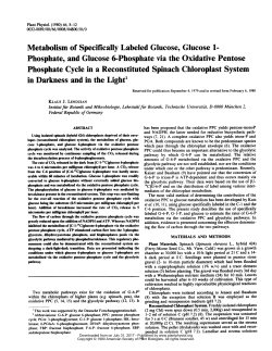 Metabolism of Specifically Labeled Glucose