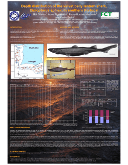 Depth distribution of the velvet belly lantern shark