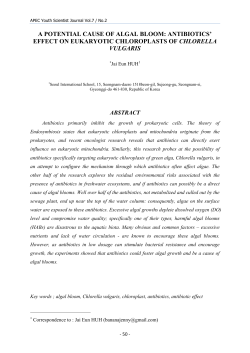 a potential cause of algal bloom: antibiotics` effect on