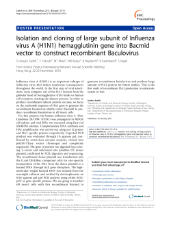 Isolation and cloning of large subunit of Influenza virus A (H1N1