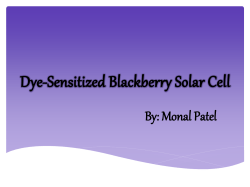 Dye-Sensitized Blackberry Solar Cell