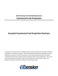 Essential Commercial Fruit Production Decisions