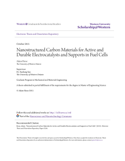 Nanostructured Carbon Materials for Active and Durable