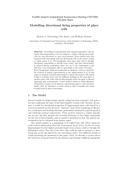 Modelling directional firing properties of place cells
