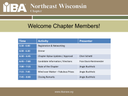 2017 AGM Presentation - IIBA&reg; Northeast Wisconsin