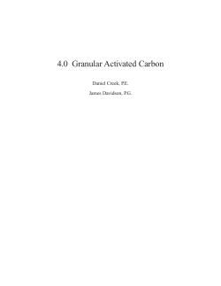 4.0 Granular Activated Carbon - National Water Research Institute