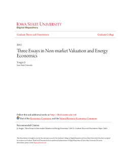 Three Essays in Non-market Valuation and Energy Economics