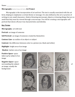 Micrography - Mrs. Gallant