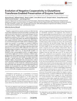 Evolution of Negative Cooperativity in Glutathione Transferase