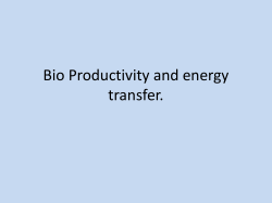 Unit 9 Bioproductivity notes