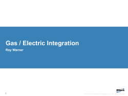 Gas / Electric Integration Ray Warner - Williams