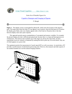 Cognitive Strategies and Foraging in Pigeons