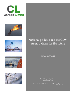 National policies and the CDM rules