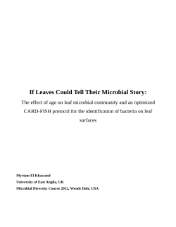 If Leaves Could Tell Their Microbial Story