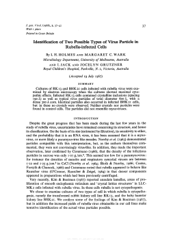 Identification of Two Possible Types of Virus Particle in Rubella