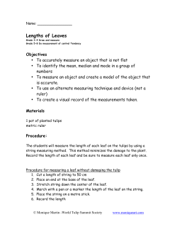 Lengths of Leaves - World Tulip Summit