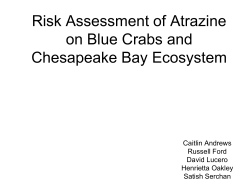 Blue Crabs: An Indicator Species