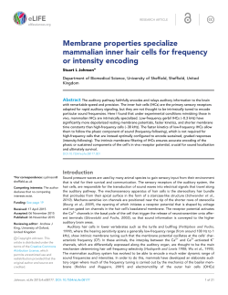 Membrane properties specialize mammalian inner hair cells for