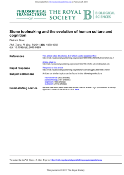 cognition Stone toolmaking and the evolution of human culture and