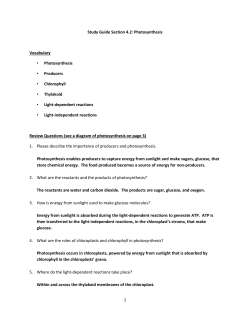 Section 4.2 Study Guide