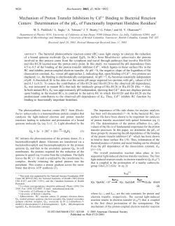 Mechanism of Proton Transfer Inhibition by Cd2+ Binding to