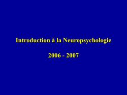 Introduction &agrave; la Neuropsychologie
