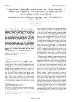 Protein kinases induced by osmotic stresses and elicitor molecules