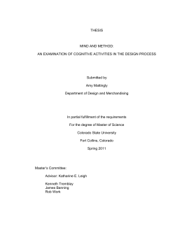 THESIS MIND AND METHOD: AN EXAMINATION OF COGNITIVE