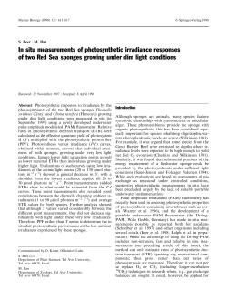 In situ measurements of photosynthetic irradiance responses of two