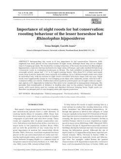 Importance of night roosts for bat conservation